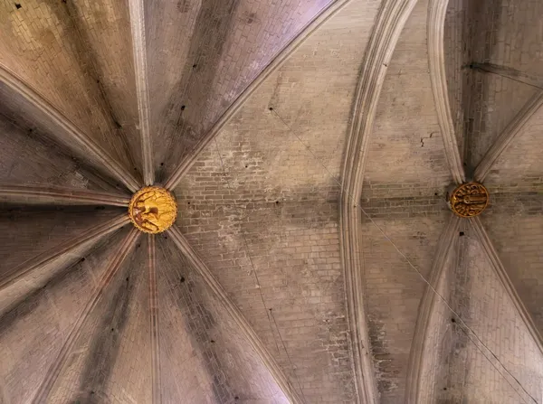La Seu, nau (interiors) (Manresa) · la
