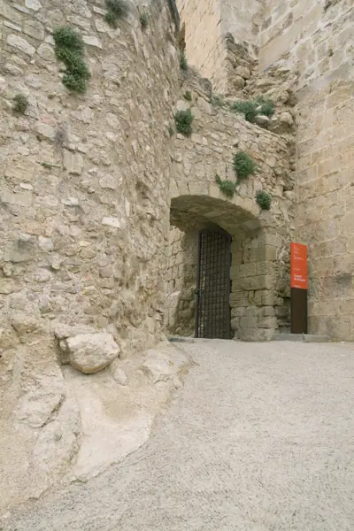 Castell (Miravet) · 01951