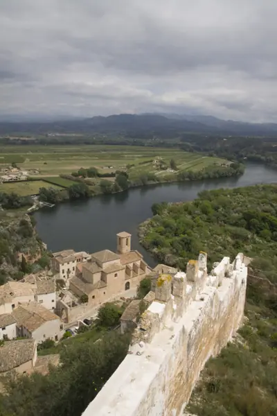 Castell (Miravet) · 01953