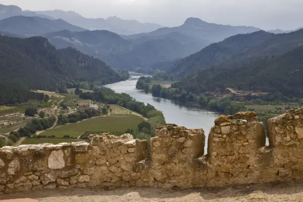 Castell (Miravet) · 01956