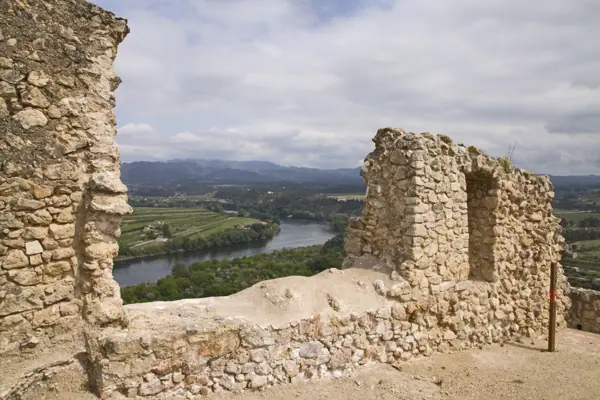 Castell (Miravet) · 01955