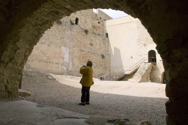 Castell (Miravet) · 01958