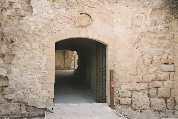 Castell (Miravet) · 01957