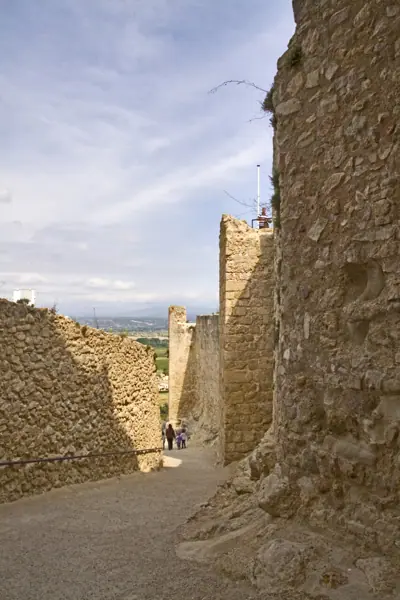 Castell (Miravet) · 01963