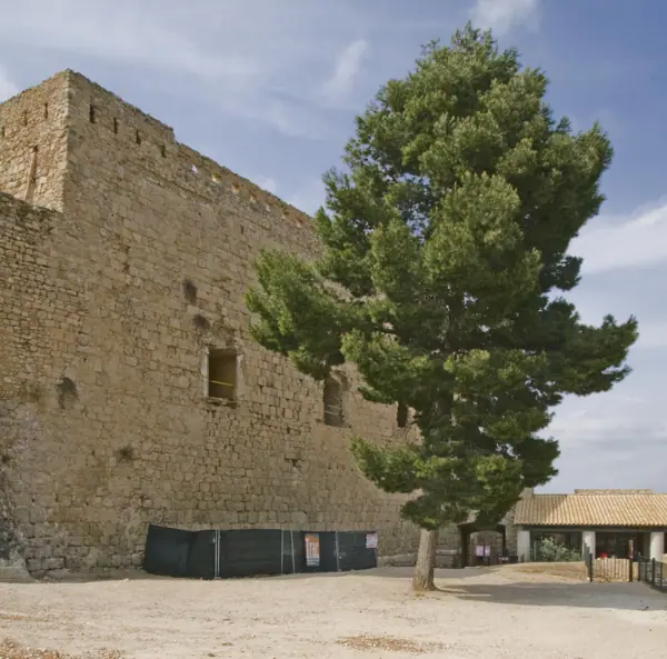 Castell (Miravet) · 01962