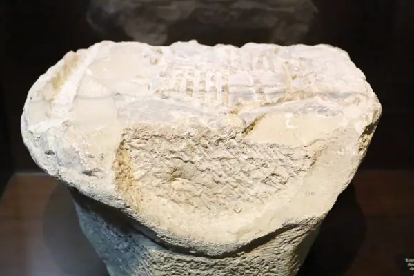 Casa Museu Rafael Casanova (Moià) · 06794