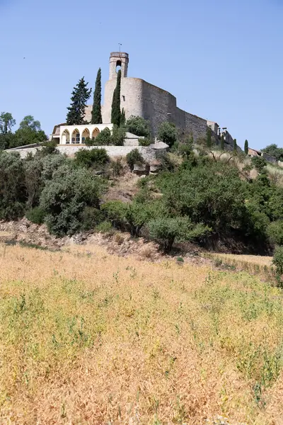 Poble medieval, segle XI (Montfalcó Murallat) · 08577