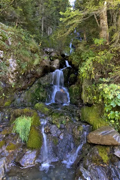 Montgarri, Bassa d'Oles i Saut deth Pish (Val d'Aran) · 02215
