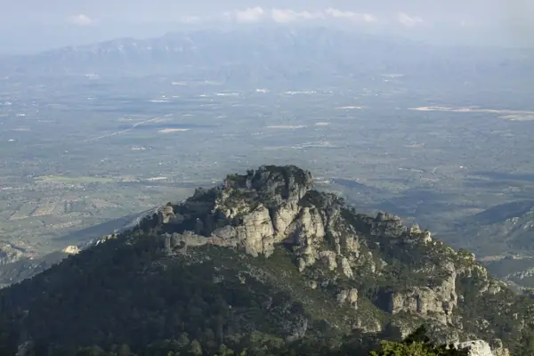 Coll del Mont Caro, fauna i flora (Els Ports) · 01973