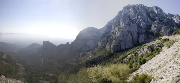 Coll del Mont Caro, fauna i flora (Els Ports) · 01974