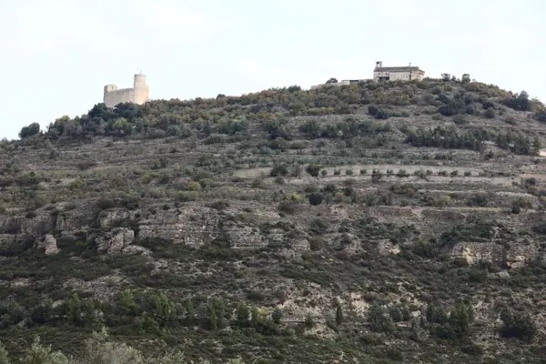 Castell i col·legiata (Mur) · 06142