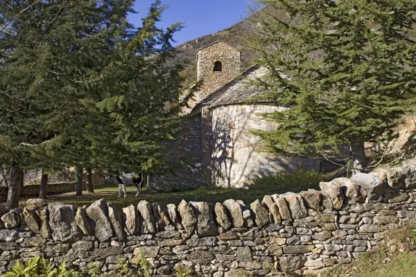 Església de Sant Martí (Ogassa) · 02385