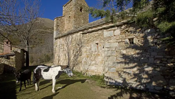 Església de Sant Martí (Ogassa) · 02388
