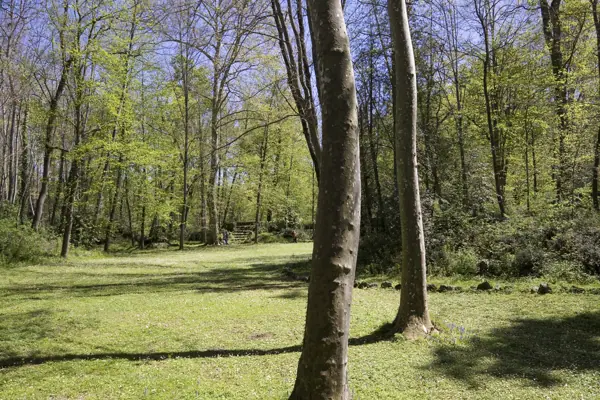 Font Moixina (Olot) · 03224