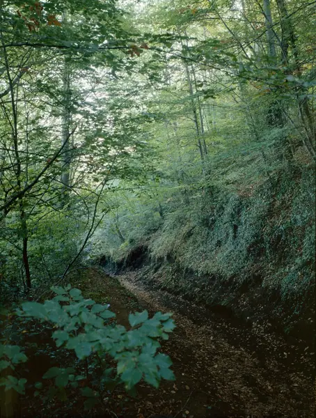 Volcà de Santa Margarida (Olot) · 00129