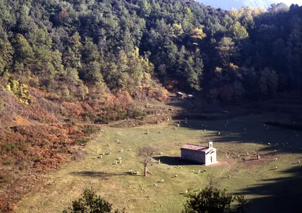 Volcà de Santa Margarida (Olot) · 01073