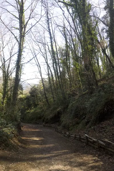 Volcà de Santa Margarida (Olot) · 03268