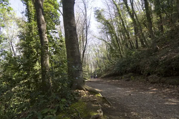 Volcà de Santa Margarida (Olot) · 03270