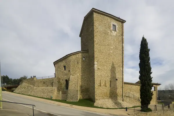 Castell (Palol de Revardit) · 03559