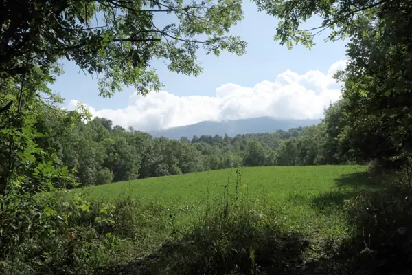 Natura i prats (Pardines) · 05448