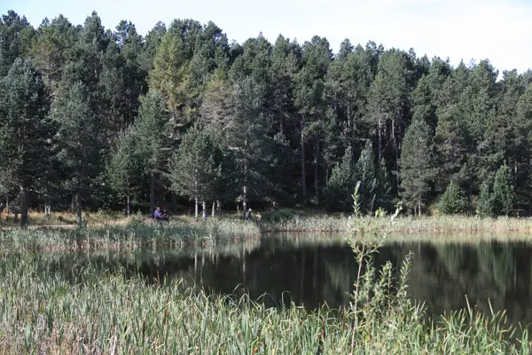Estany Petit de Calvet (Capcir) · 06946