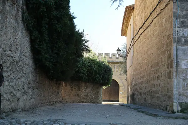 Castell (exteriors) (Piera) · 06305