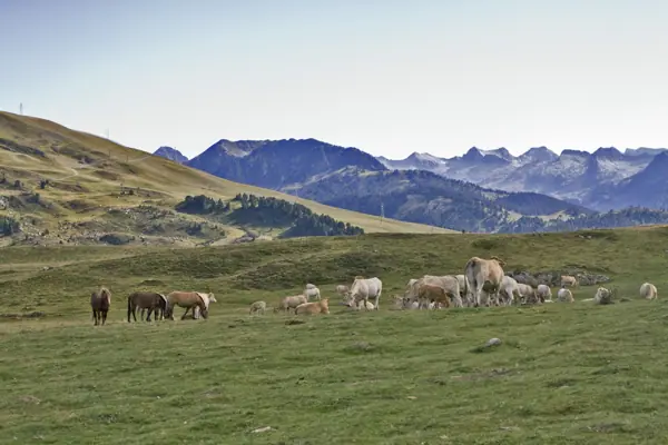 Pla de Beret i Betlan (Val d'Aran) · 02180