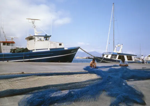 Platja (El Port de la Selva) · 02750