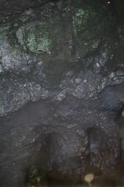 Cova, avenc de la Bòfia (Port del Comte) · 07638