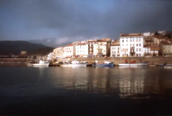 La vila, 1976 (Portvendres) · 04759