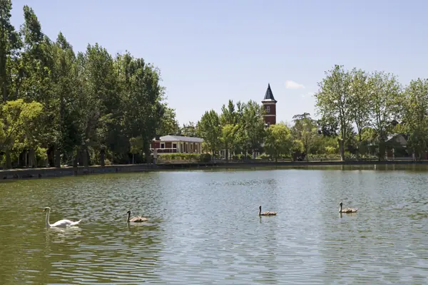 L'estany (Puigcerdà) · estany
