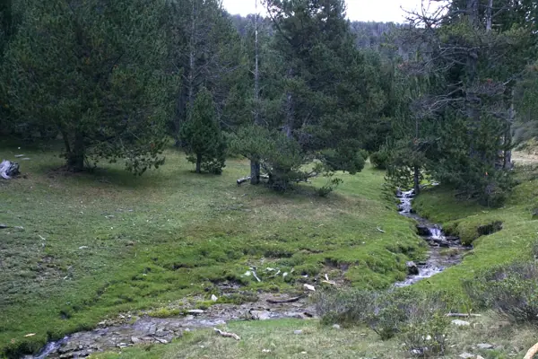 Pic d'Urdona i Port Ainé (Rialp) · 03646