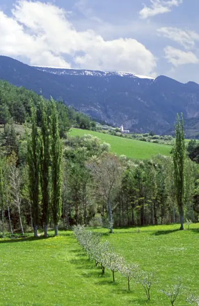 Pla de Sant Tirs, Tresponts i Alàs (Ribera d'Urgellet) · 00177