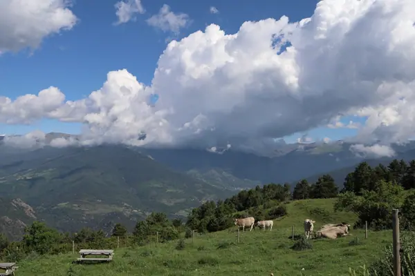 Coll de Jou (paisatges) (Ribes de Freser) · 05618