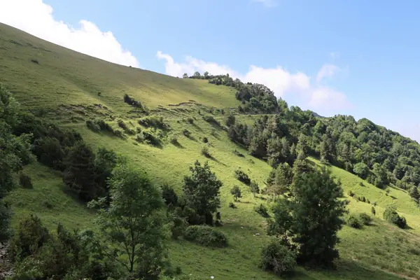 Coll de Jou (paisatges) (Ribes de Freser) · 05624