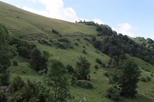 Coll de Jou (paisatges) (Ribes de Freser) · 05623