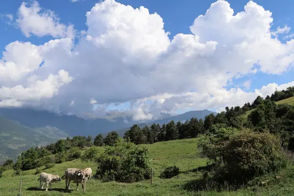 Coll de Jou (paisatges) (Ribes de Freser) · 05620