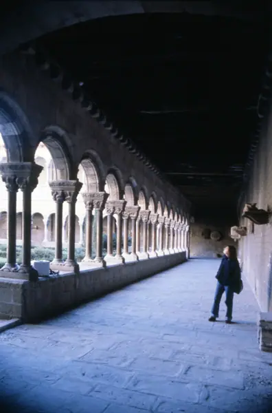 Monestir de Santa Maria (Ripoll) · 00863