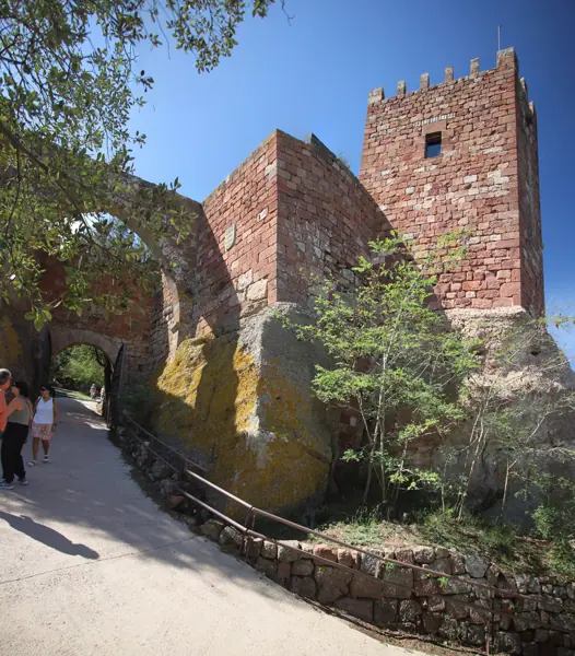 Castell d'Escornalbou (Riudecanyes) · 06977