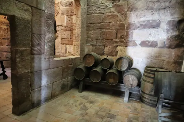 Castell d'Escornalbou (Riudecanyes) · 07019