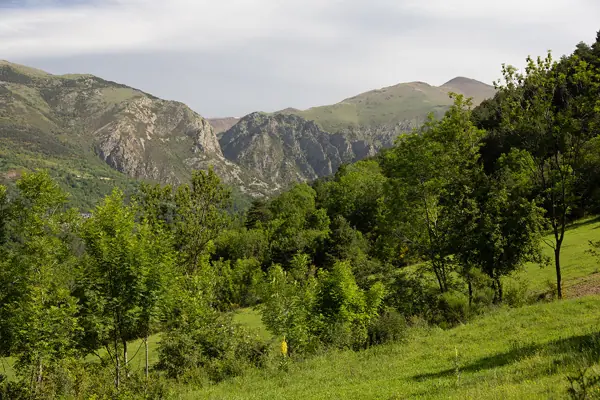 Ruta de Ribes de Freser a Tregurà (Ribes de Freser) · 07353