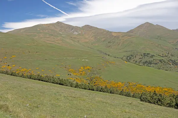 Ruta de Ribes de Freser a Tregurà (Ribes de Freser) · 07354