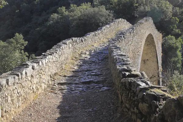 Pont de Llierca (Sadernes) · sadern