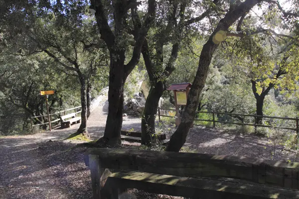 Pont de Llierca (Sadernes) · sadern