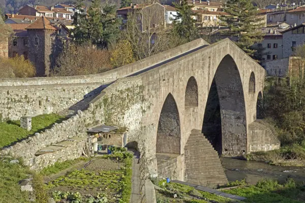 Pont Vell (Sant Joan de les Abadesses) · 02430