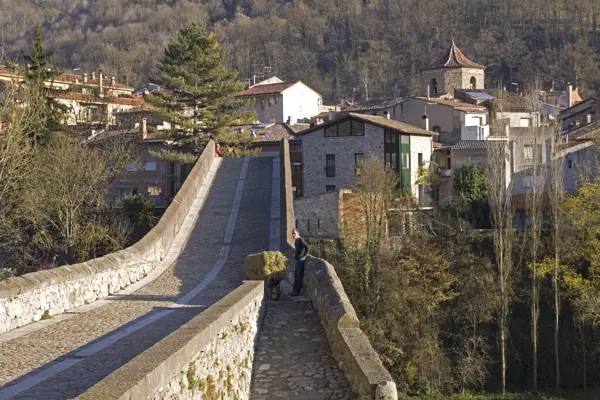 Pont Vell (Sant Joan de les Abadesses) · 02431