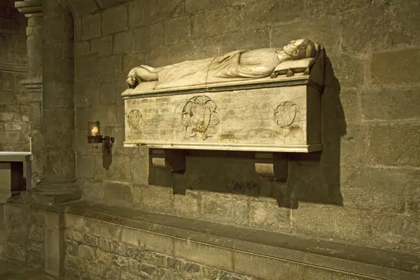 Palau de l'Abadia (Sant Joan de les Abadesses) · 02419