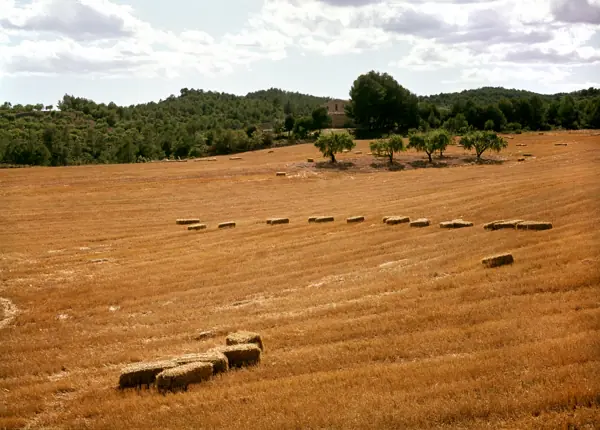 Paisatges (Sant Martí de Tous) · 01062