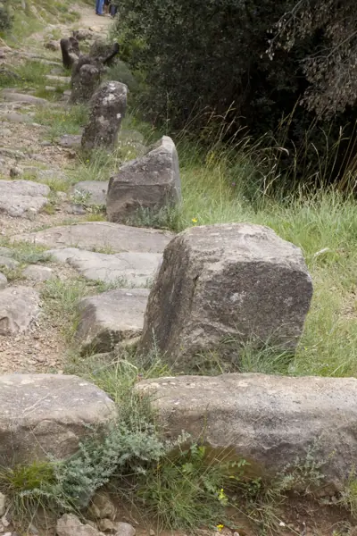 Via romana del Capsacosta (Sant Pau de Segúries) · 02113