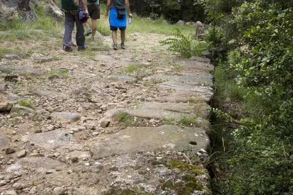 Via romana del Capsacosta (Sant Pau de Segúries) · 02111
